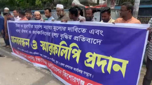 লোকসানে বন্ধ হচ্ছে লেয়ার মুরগির খামার