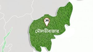 ঈদ সামনে রেখে সীমান্তে সক্রিয় গরু চোরাকারবারিরা