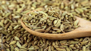 খাওয়ার পর মৌরি খেলে কী হয় 