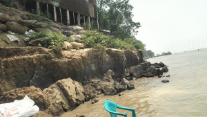 বর্ষার আগেই যমুনার তীরবর্তী এলাকায় ভাঙ্গন ব্যাপক 