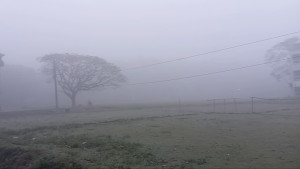 চৈত্রের আকাশে হঠাৎ ঘনকুয়াশা, শীতের আমেজ