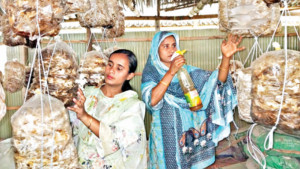 উপহাস মাড়িয়ে সাফল্যের হাসি