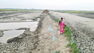 ঘেরে ঘেরে পানি সংকট, মরে যাচ্ছে চিংড়ি