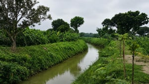 ১০ কিলোমিটার খাল খননে স্বস্তি