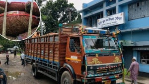 ৮ মাস পর হিলি বন্দর দিয়ে এলো তিন ট্রাক কাঁচা মরিচ, কমছে দাম