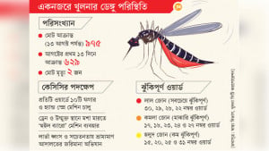 খুলনা নগরীর চার ওয়ার্ড ডেঙ্গুর উচ্চ ঝুঁকিতে