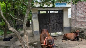 কমিউনিটি ক্লিনিক খোলে ইচ্ছামতো