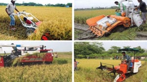 স্মার্ট কৃষির সম্ভাবনা ও চ্যালেঞ্জ