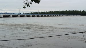 পানি নামতে শুরু করলেও কাটেনি শঙ্কা, তিস্তা পাড়ে ভাঙনের আতঙ্ক
