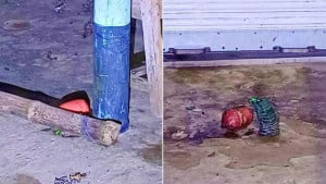 সাতক্ষীরায় বিএনপি কার্যালয় থেকে ককটেল উদ্ধার