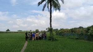 কোটচাঁদপুরে চাচাতো ভাইয়ের দা’র কোপে ভাই নিহত