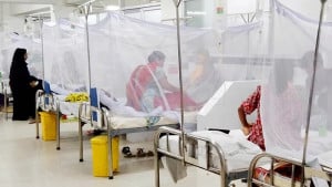 ডেঙ্গুতে ৩ মৃত্যু, হাসপাতালে রেকর্ড ১০৯৭ রোগী