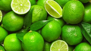 লেবুর দাম বাড়ার নেপথ্যে দায়ী কারা?