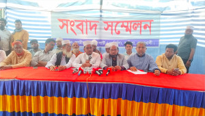 হাতিয়ার মানুষ আনন্দের বদলে ভীত: হান্নান মাসউদ
