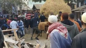 নওগাঁয় বিএনপি-জামায়াত সংঘর্ষ, আহত ১০