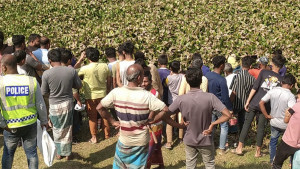 জীবননগরে খাল থেকে যুবকের মরদেহ উদ্ধার
