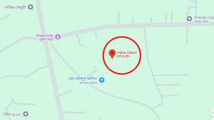 হাতিয়ায় হান্নান মাসুদের স্ত্রীর ওপর হামলার অভিযোগ 