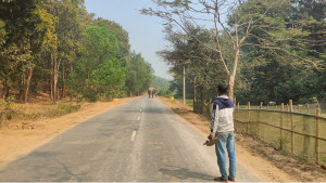 বনের হাতি সড়কে, ঝুঁকি নিয়ে চলাচল
