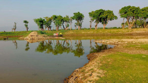 ৯ হাজার হেক্টর জমির ধান তলিয়ে যাওয়ার শঙ্কা