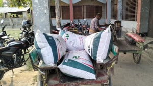 ইউপি সদস্যদের বিরুদ্ধে প্রকল্পের চাল বিক্রির অভিযোগ