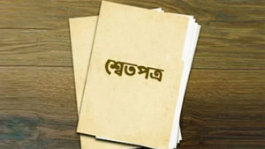 অন্তর্বর্তী সরকারের কার্যক্রম নিয়ে শ্বেতপত্র প্রকাশের দাবি