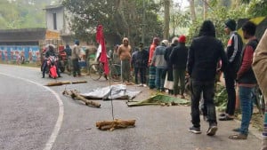ডাম্প ট্রাক-নসিমন মুখোমুখি সংঘর্ষে প্রাণ গেল মাছ ব্যবসায়ীর