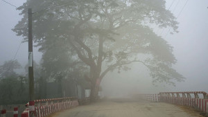 ১৭ জেলায় মৃদু শৈত্যপ্রবাহ, কুয়াশায় বিপর্যস্ত জনজীবন