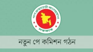 পে কমিশনে শিক্ষকদের আলাদা বেতন কাঠামো কেন নয়?