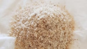 ইসবগুল খান নিয়ম মেনে