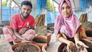 কেঁচো সারে স্বাবলম্বী