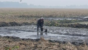 তেঁতুলিয়ায় টানা ৫ দিন সর্বনিম্ন তাপমাত্রা রেকর্ড