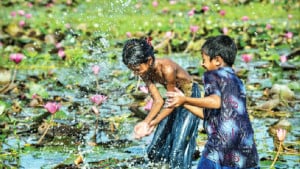 কত না দুধের ক্ষীর 