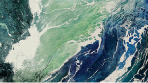 বছরজুড়ে যুদ্ধের আশঙ্কা