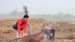 ফাঁদ থেকে ১১ শালিক অবমুক্ত, জাল ধ্বংস