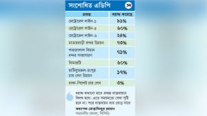 ১০ মেগা প্রকল্পের আটটির বরাদ্দে বড় কাটছাঁট
