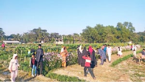 টিকিট কেটে ফুলবাগানে মানুষের ঢল