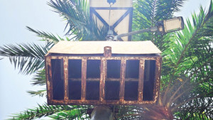 রাজশাহীর অধিকাংশ সোলার সিস্টেম ৬ মাসেই অকেজো