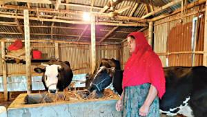 ২৮০ পরিবারের জীবিকায় নতুন যোগ
