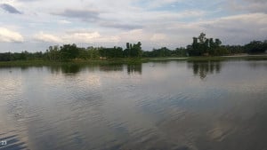 কুশিয়ারা-জুড়ী নদীর পানি বিপৎসীমার কাছাকাছি, মৌলভীবাজারে নিম্নাঞ্চলের মানুষ পানিবন্দি