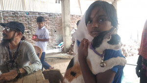 ১০০ বিড়ালের ফ্রি ভ্যাকসিনেশন