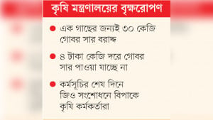 গোল বেধেছে গোবরে