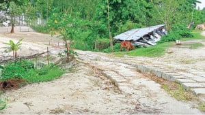 ৪৪৮ কোটি টাকার বাঁধ কেটে রাস্তা