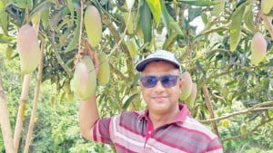 চারা সংগ্রহের শখ থেকে  সফল উদ্যোক্তা