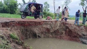 টানা বর্ষণে ৯৯ হেক্টর জমির ফসল পুরোপুরি নষ্ট