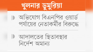 এক্সক্যাভেটর নিয়ে এসে কৃষকের ঘের দখল