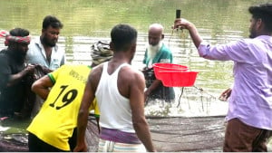 ধানের লোকসান ভুলিয়েছে পাবদা রেণুপোনা