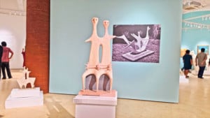 অনুভূতির শৈল্পিক নির্মাণই ছিল নভেরার লক্ষ্য
