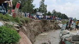 যমুনা নদীর ভাঙনের মুখে সড়ক  ৫০ গ্রাম প্লাবিত হওয়ার শঙ্কা