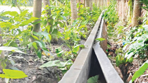 নির্মাণের কয়েক দিনেই ধসে পড়েছে নালা