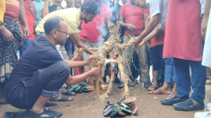 এমপি নজরুলের কুশপুতুল দাহ পদত্যাগের আলটিমেটাম